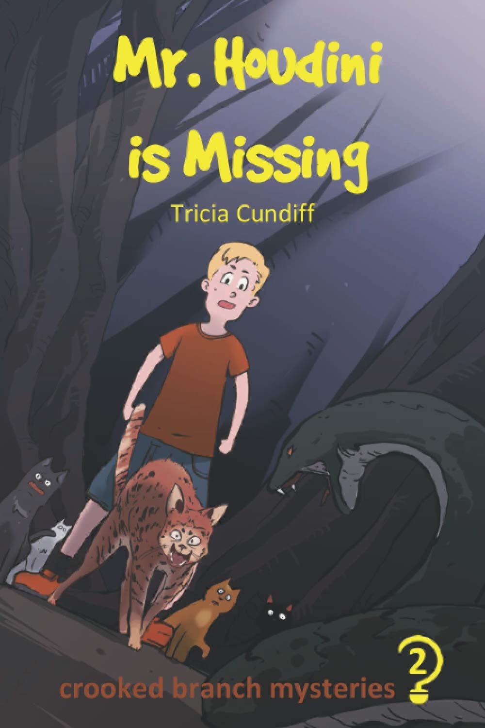 Mr. Houdini is Missing - Crooked Branch Mysteries Book 2 by Tricia Cundiff