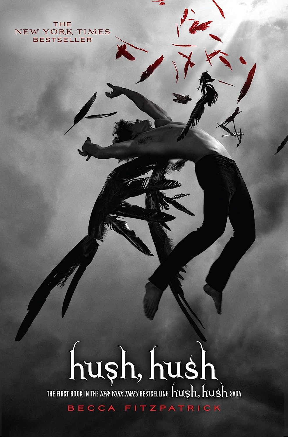 Hush, Hush Book 1 Becca Fitzpatrick