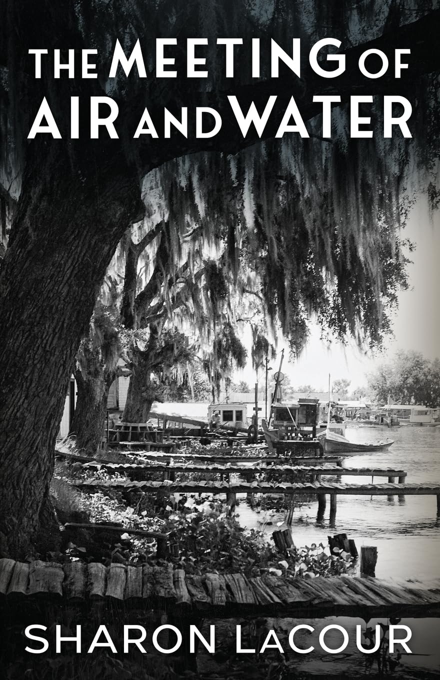 The Meeting of Air and Water by Sharon LaCour