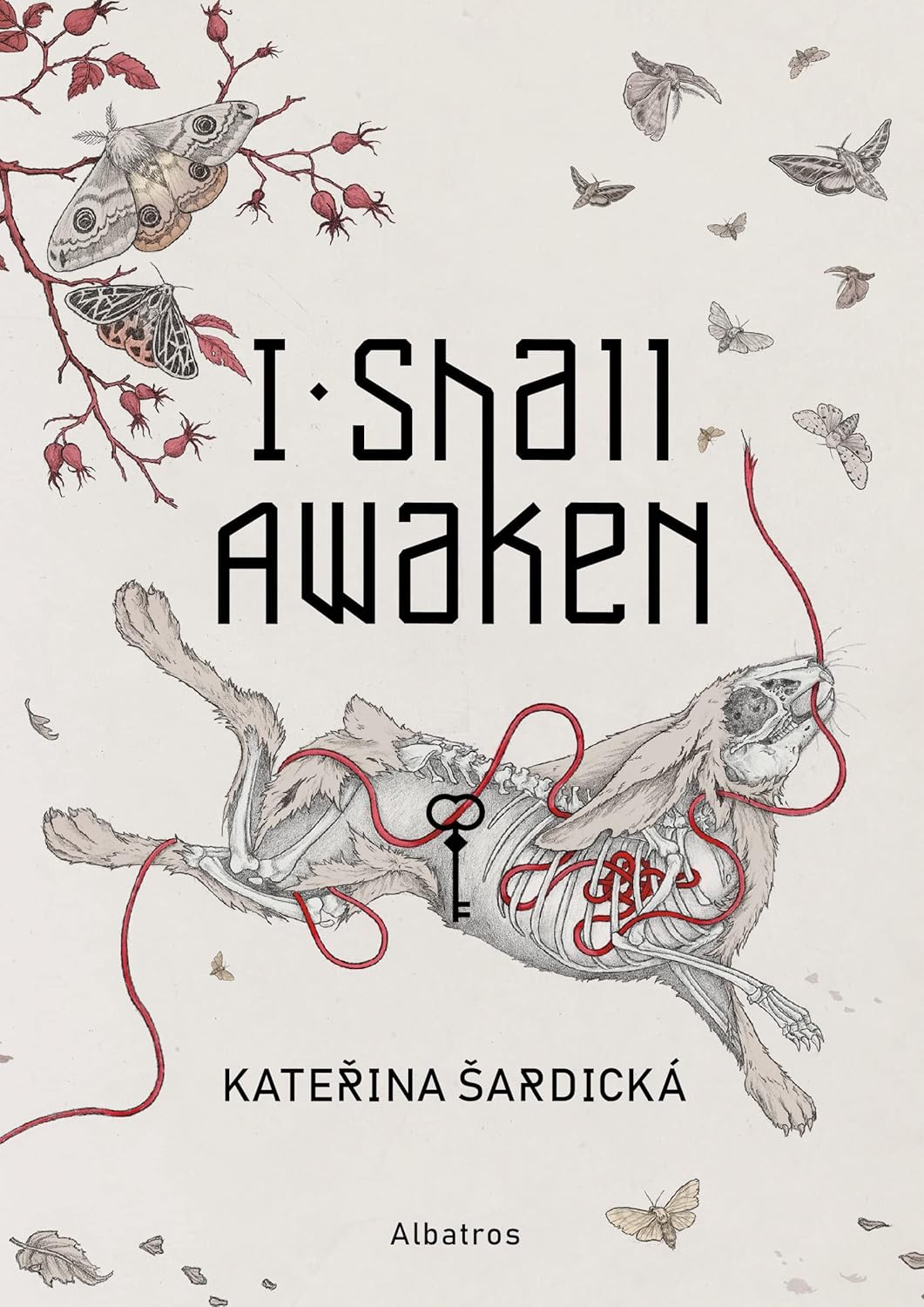 I Shall Awaken by Katerina Sardicka