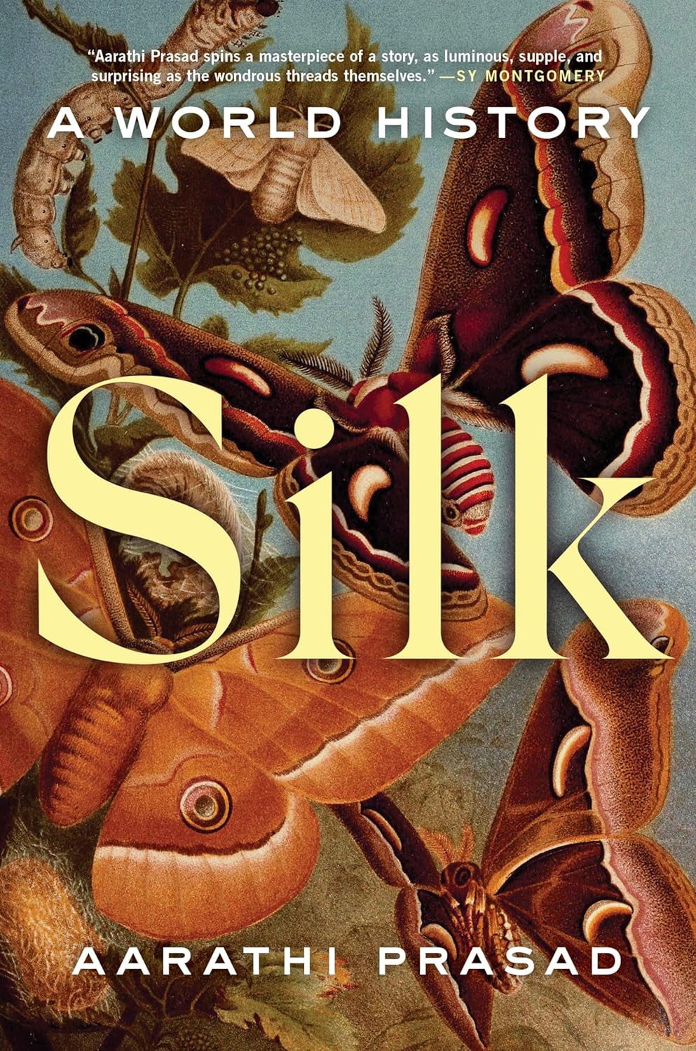 Silk by Aarathi Prasad