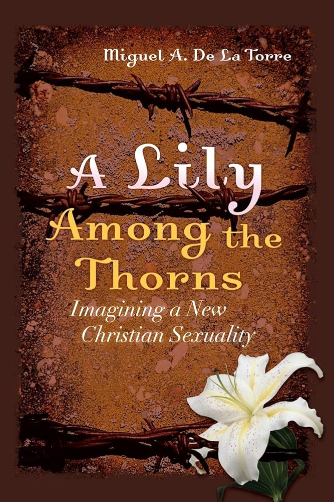 A Lily Among the Thorns: Imagining a New Christian Sexuality cover image