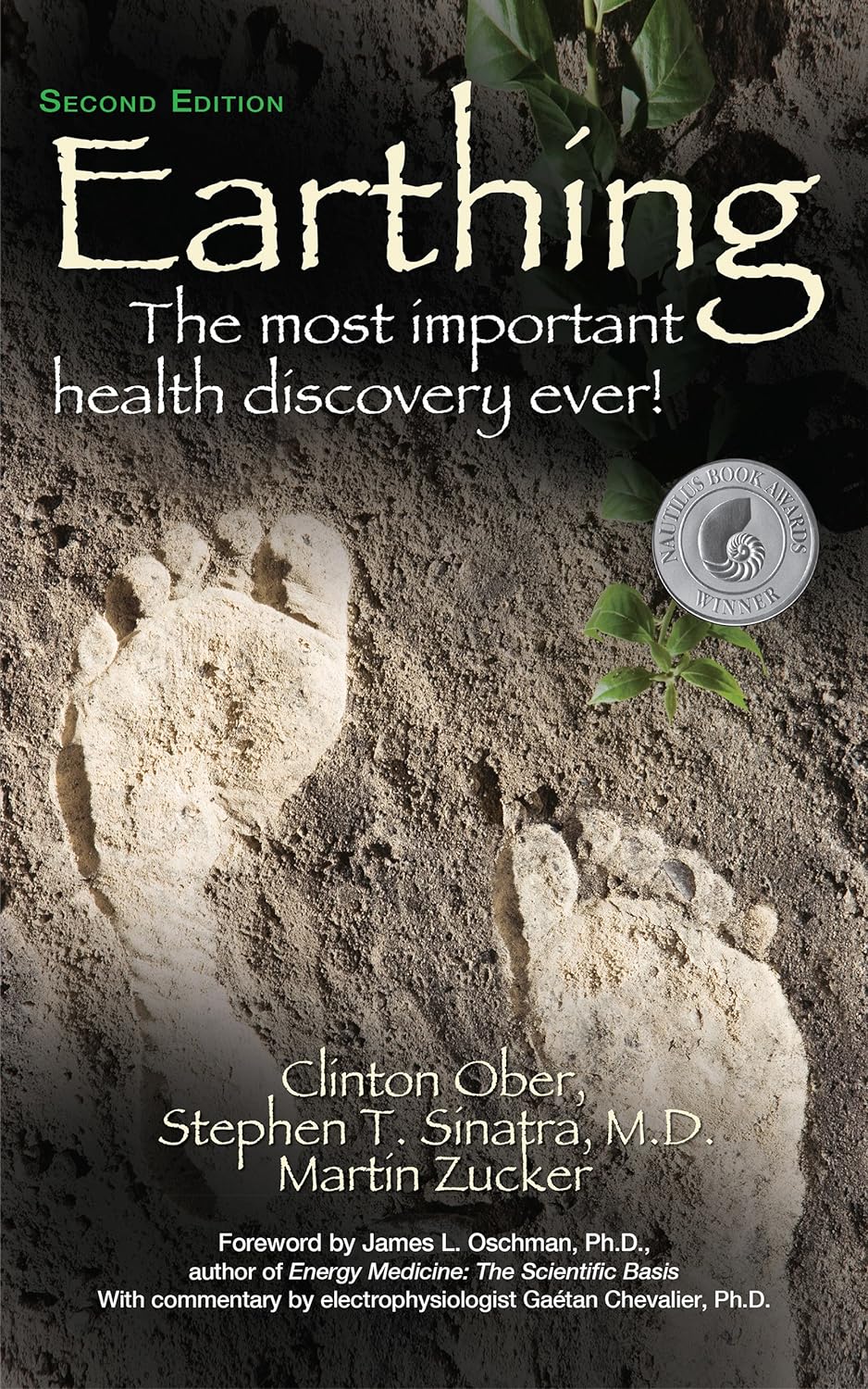 Earthing by Clinton Ober, Stephen, T Sinatra, and Martin Zucker