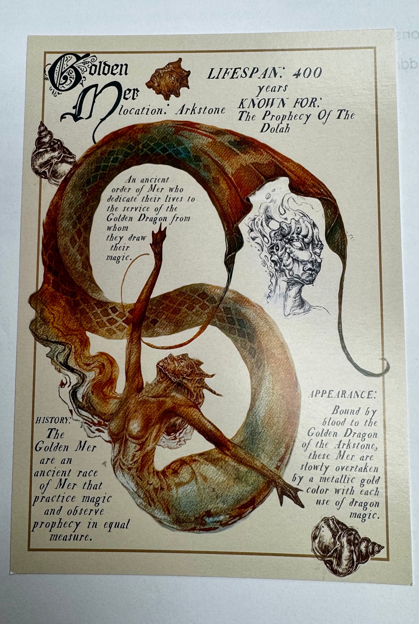 A Clash of Tides by Alivia R. Maar Large Print