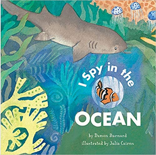 I Spy In The Ocean by Damon Burnard Board Book