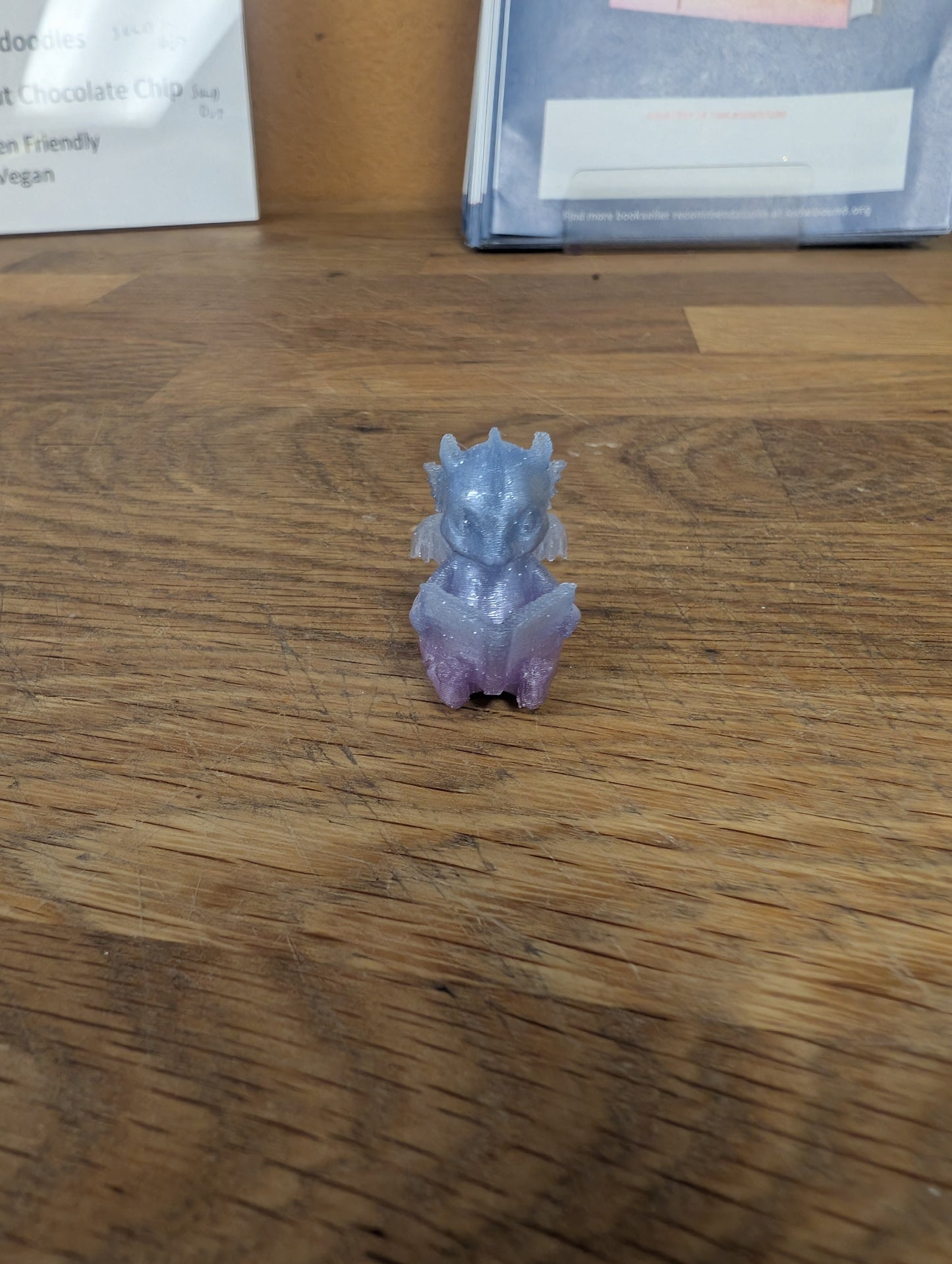 Mini Book Dragons