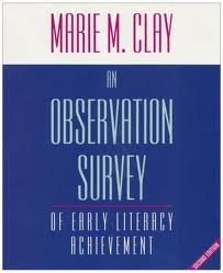 The Observation Survey by Marie M. Clay