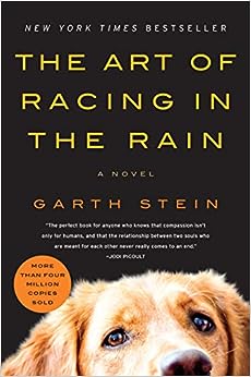 Racing in the Rain; My Life As A Dog by Garth Stein