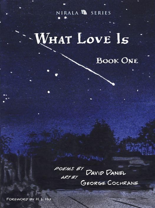 What Is Love Book One by David Daniel and George Cochrane