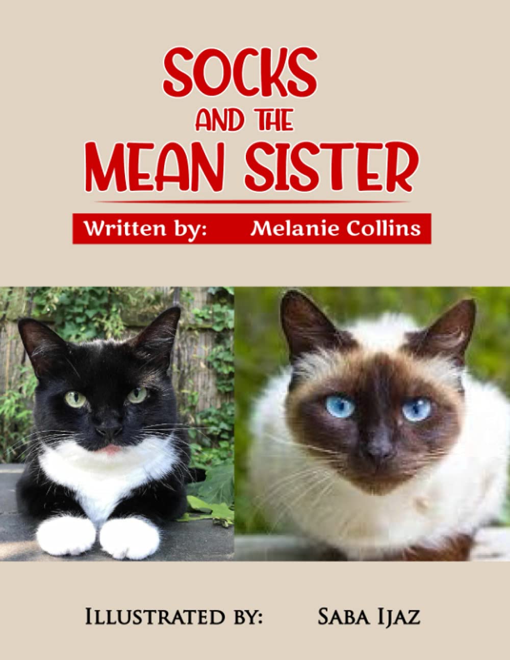 Socks and the Mean Sister by Melanie Collins