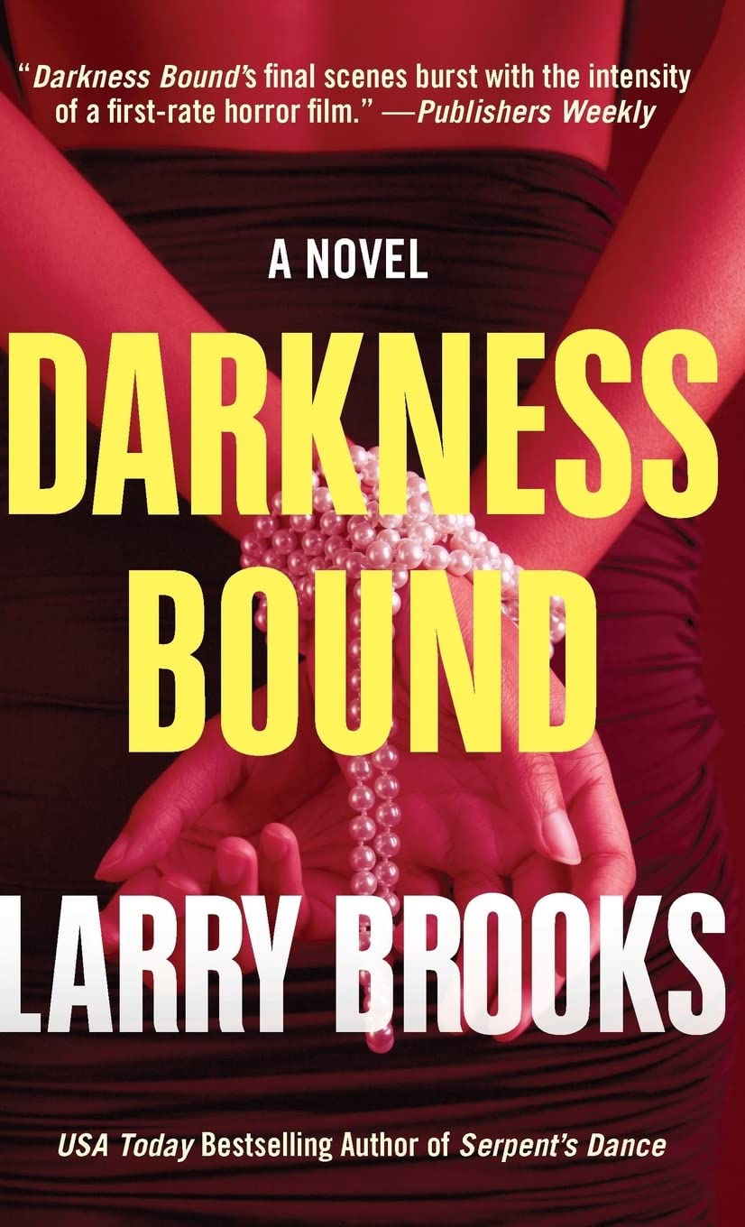 Darkness Bound by Larry Brooks