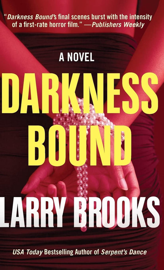 Darkness Bound by Larry Brooks