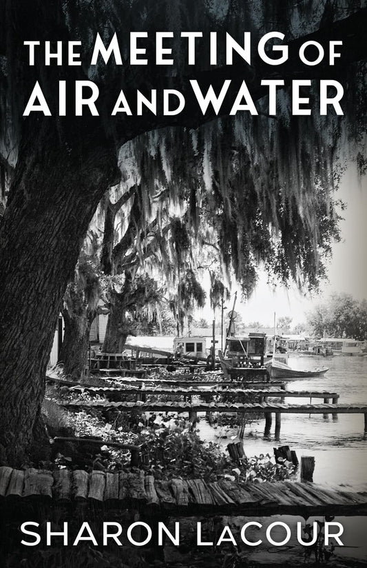 The Meeting of Air and Water by Sharon LaCour