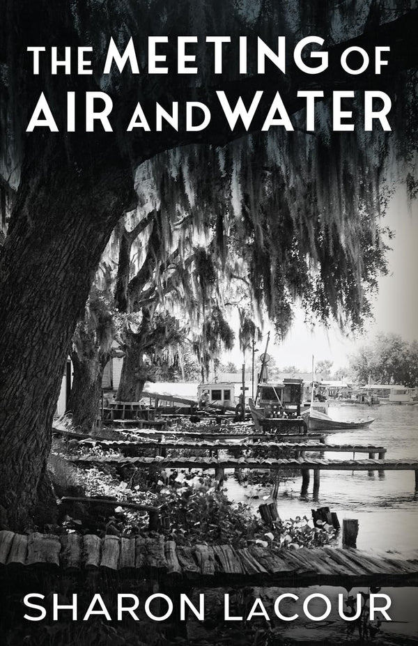 The Meeting of Air and Water by Sharon LaCour