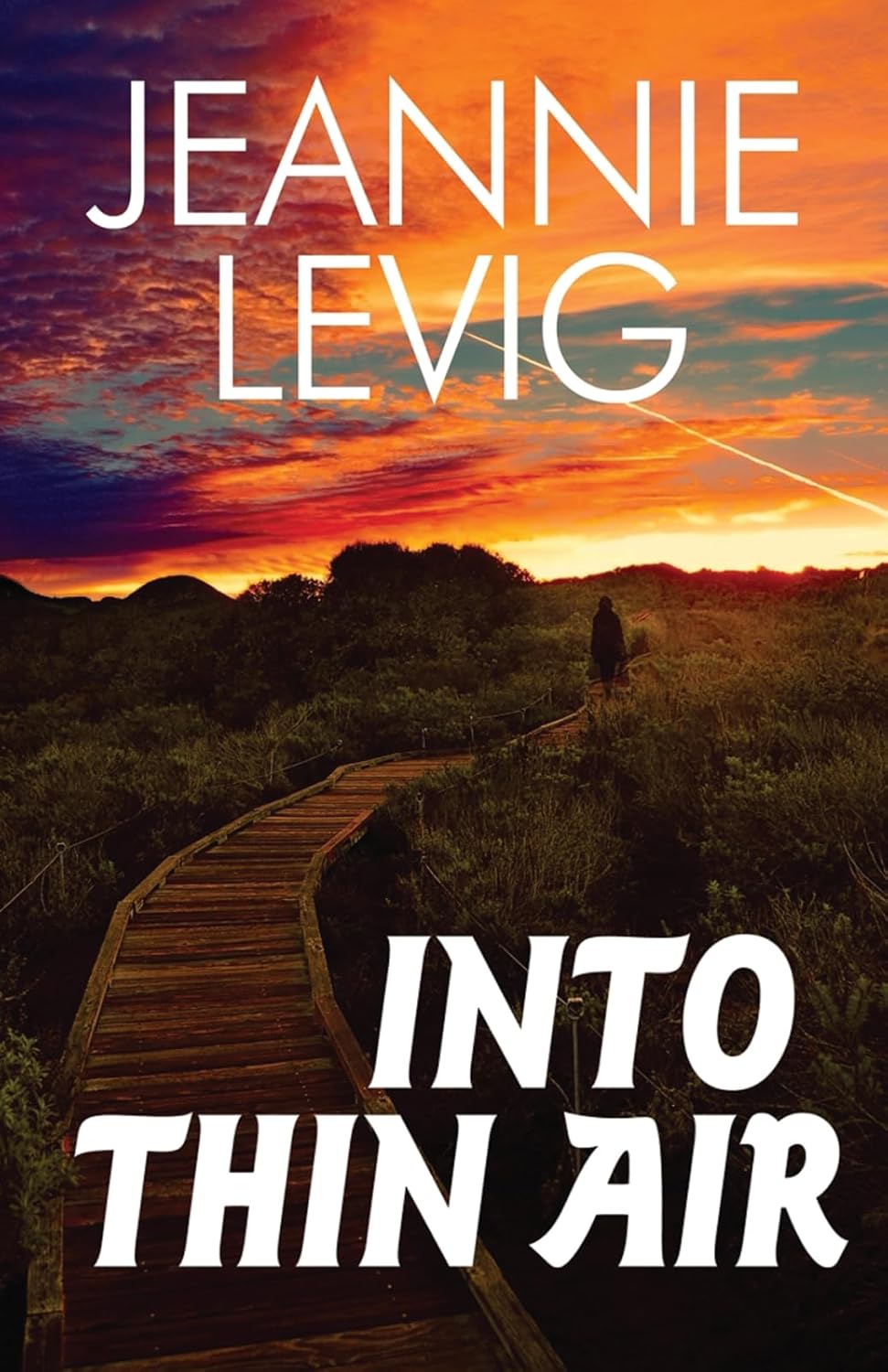 Into Thin Air by Jeannie Levig