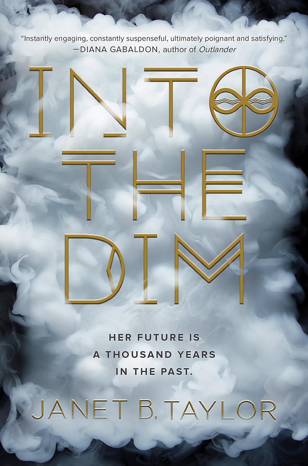 Into The Dim by Janet B. Taylor