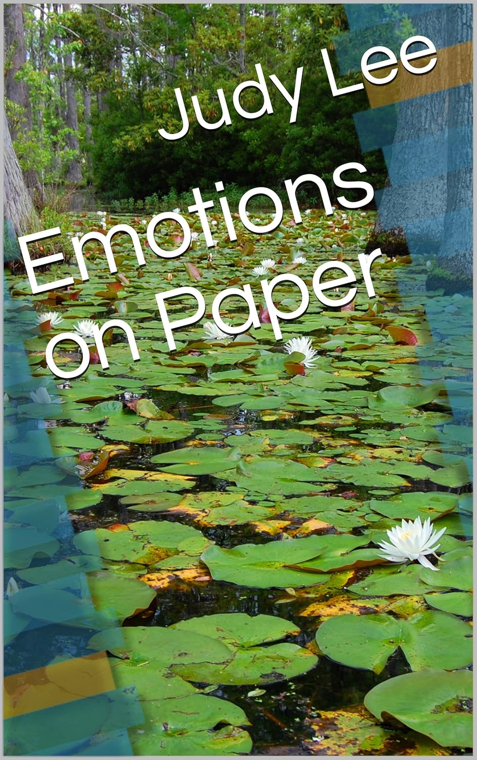 Emotions on Paper by Judy Lee