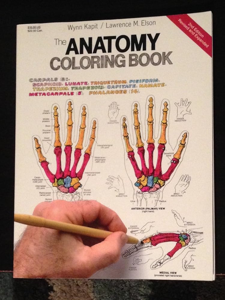 The Anatomy Coloring Book cover image