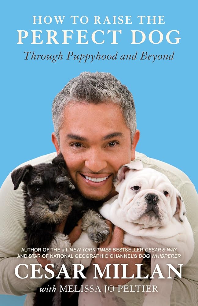 How to Raise the Perfect Dog: Through Puppyhood and Beyond cover image