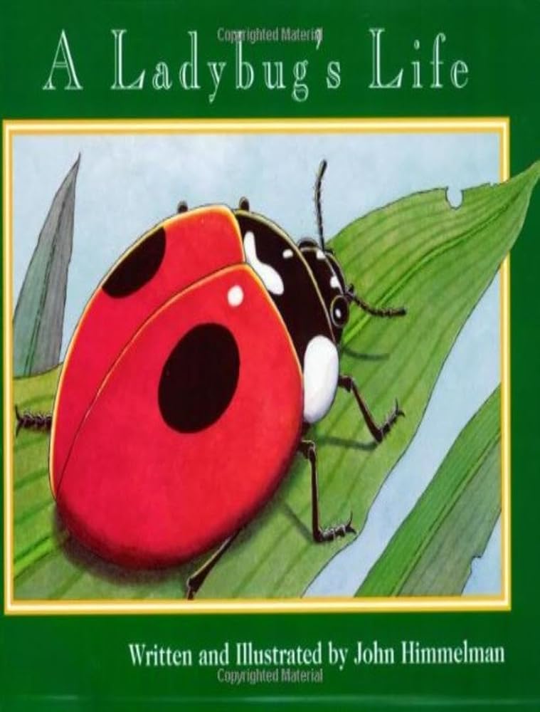 A Ladybug's Life (Nature Upclose) cover image
