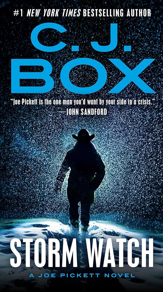 Storm Watch (A Joe Pickett Novel) cover image