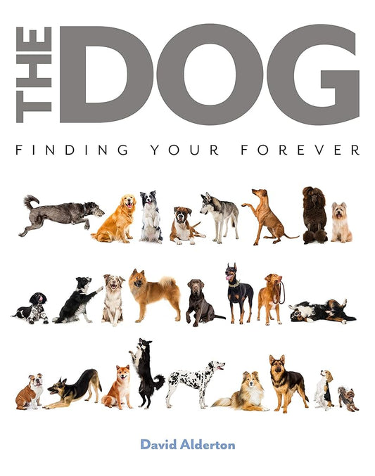 The Dog: Finding Your Forever cover image