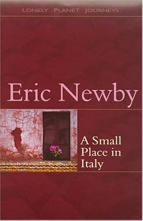 A Small Place in Italy cover image