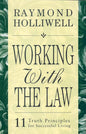 WORKING WITH THE LAW: 11 TRUTH PRINCIPLES FOR SUCCESSFUL LIVING cover image