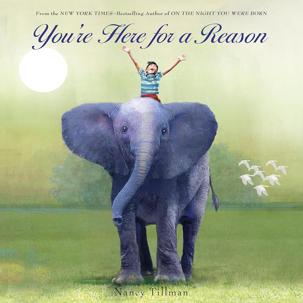 You're Here for a Reason cover image