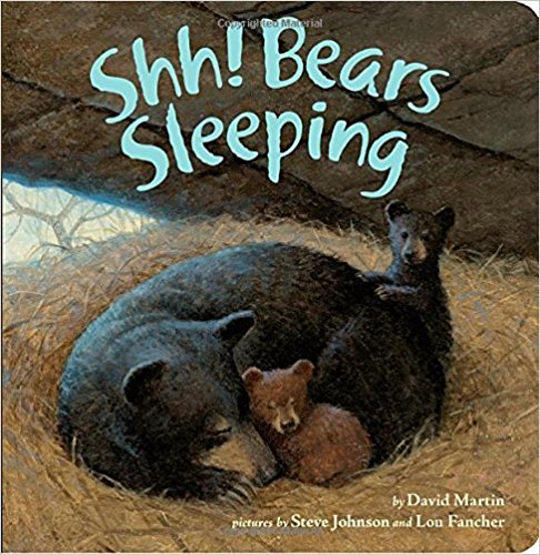 Shh! Bears Sleeping by: David Martin