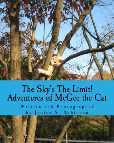 The Sky's The Limit! Adventures of McGee the Cat