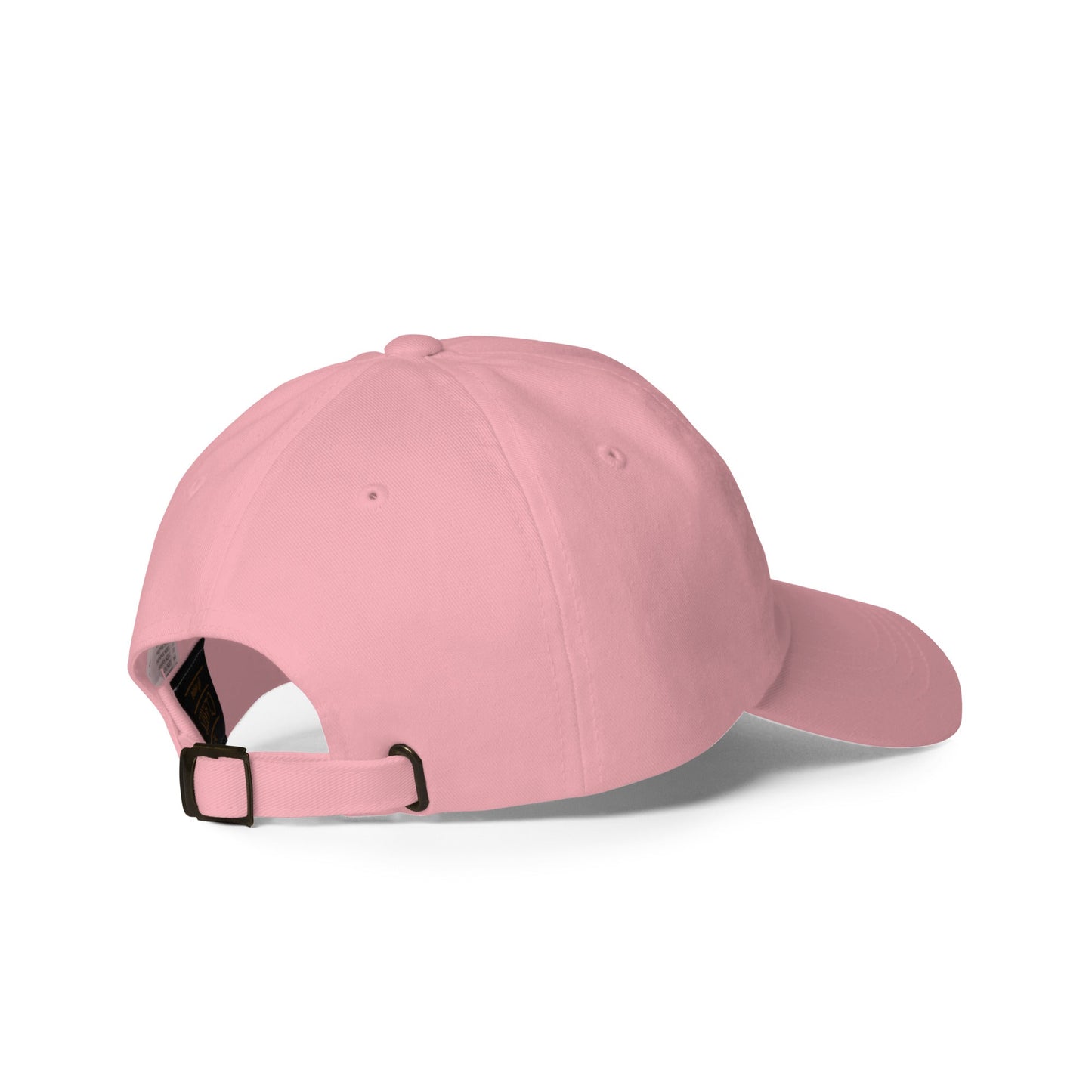 Embrace Equity Baseball Hat