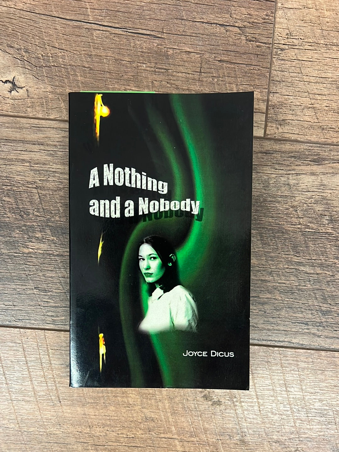 A Nobody and A Nothing by Joyce Dicus