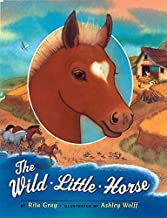 The Wild Little Horse by Rita Gray