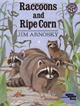 Raccoons and Ripe Corn by Jim Arnosky