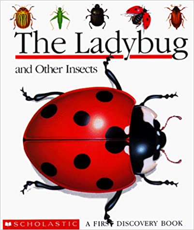 First Discovery Ladybugs and Other Insects